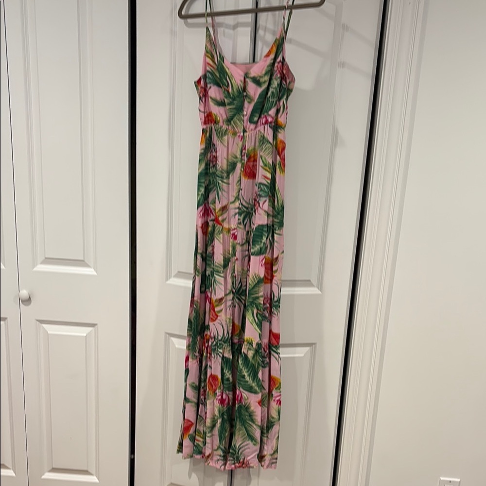 BB Dakota Tropical Pink Maxi Dress